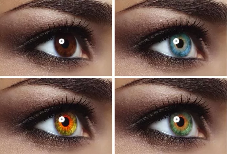 چند نوع رنگ چشم داریم