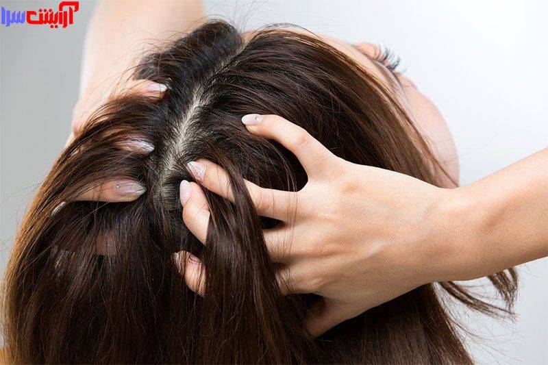 مراقبت از مو | نگهداری مو | شستن مو | سشوار کشیدن مو | شانه کردن مو | در این مقاله تلاش میکنیم تا راهکارهای ساده ای را درباره نگهداری از مو به شما معرفی کنیم.